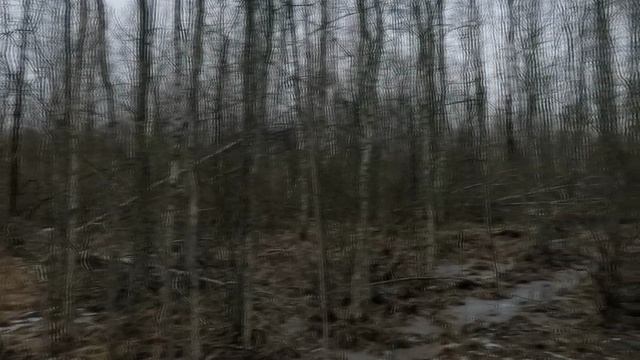 Охота с Добычем.15-й смотреть онлайн