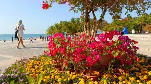 Набережная Дадунхая днем 09.01.25