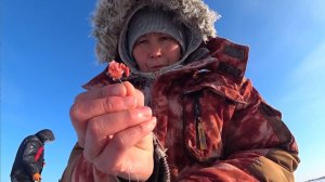 На РЫБАЛКУ под одеялом.. наловила я гольца.