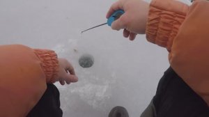 Окунь на блесну зимой. Зимняя рыбалка на окуня