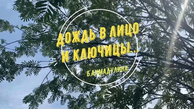 Б Ахмадулина  Дождь в лицо и ключицы #стихиолюбви  #поэты20века