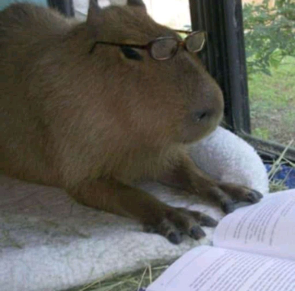 обзор на мой день смотреть онлайн