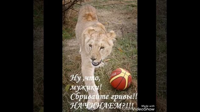 Футбол ⚽ в Тайгане. смотреть онлайн