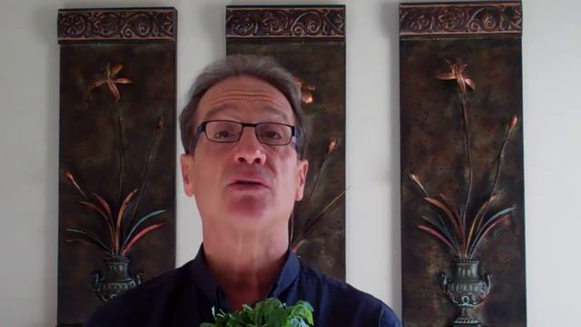 "The Week in Health with Dr. Bob"-January 6th смотреть онлайн