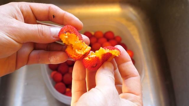 Foraged Strawberry Tree Fruit + Green Smoothie Recipe смотреть онлайн