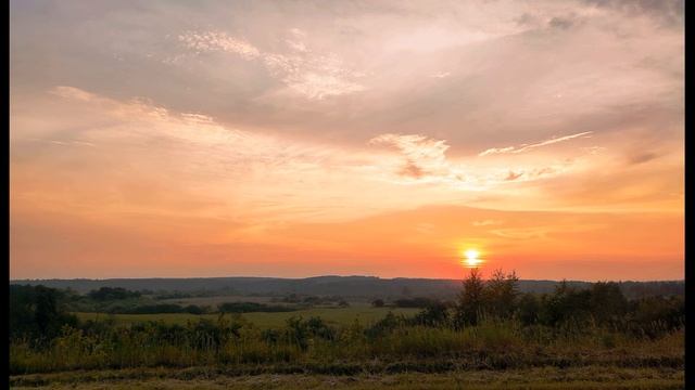 Мирра Лохвицкая  Поля, закатом позлащённые #стихиолюбви #поэтысеребряноговека