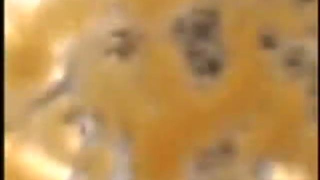 Dog vs. Letter Carrier Joke Prevention Week 2037 смотреть онлайн