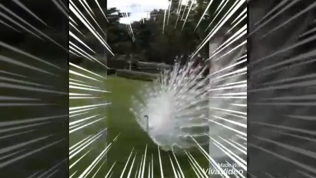 Жақын жандарға смотреть онлайн