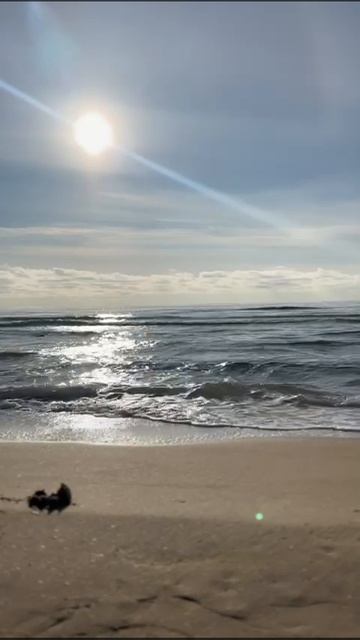 22.01.2025 Состояние пляжа 