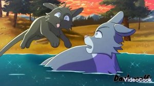 Коты воители Грач и Ласточка: Вела меня