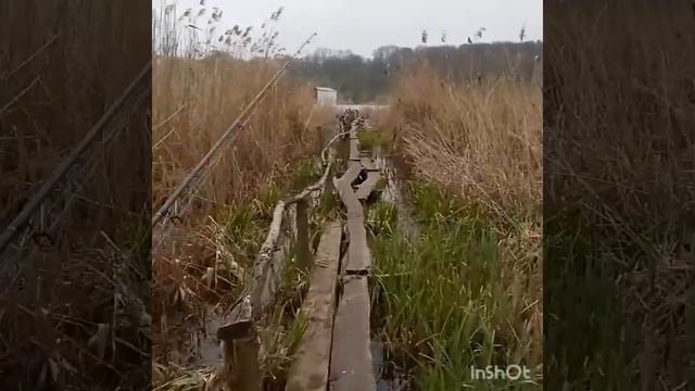 Щука на Мепс смотреть онлайн