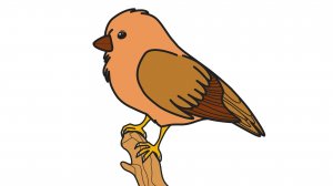 Как Нарисовать Птицу