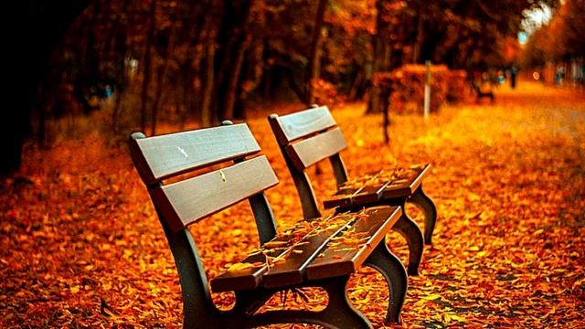Beautiful Music For The Soul Autumn!!! ☂