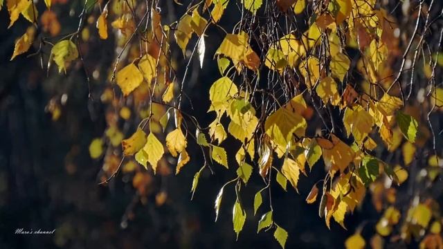 Autumn in Fall - Rec Production//tunetank.com audio library/ No Copyright Music смотреть онлайн