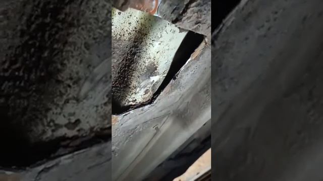 Шкода Фабия часть 2 смотреть онлайн