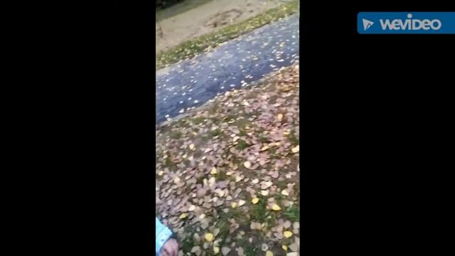 Mix nice😊 video!Мини фильм о том как мы весело проводили время! Посвящается семье Бесао и Матяш! смотреть онлайн