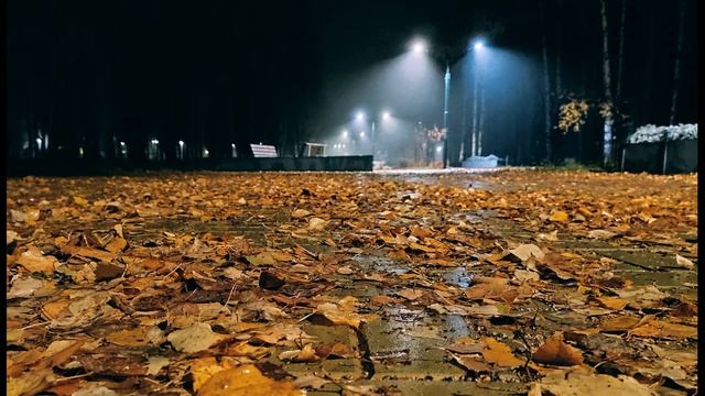 Г Иванов  Мы не молоды  Но и не стары #стихиожизни #философскаялирика   #поэтыСеребряноговека