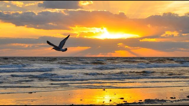 В  Маяковский  Разговор с фининспектором о поэзии #стихиопоэзии#футуристы#поэтысеребряноговека