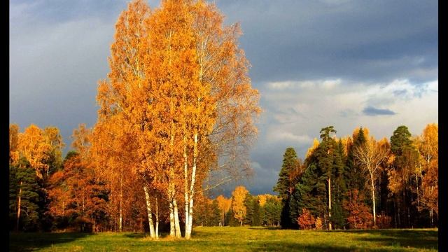 И  Бунин  Листопад  (отрывок) #стихиобосени #поэтысеребряноговека