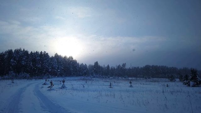 Н Рубцов  Звезда полей  #стихиородине#философскаялирика #поэты20века