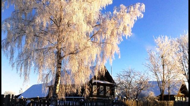 С  Есенин  Берёза #стихиозиме #поэтысеребряноговека