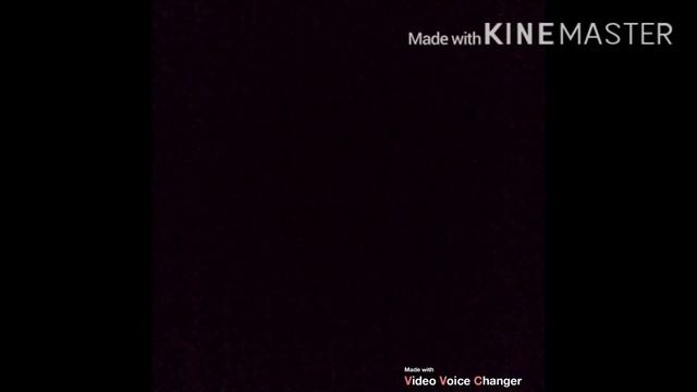 Baby Einstein My First Signs смотреть онлайн