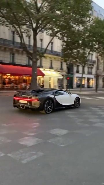 Bugatti chiron driving status 🥵#cars #shorts #reels #hypercar #bugatti #bugattichiron #sportscar смотреть онлайн