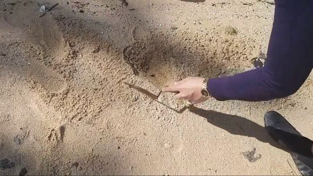TREASURE HUNTING USING TEKPOINT 2 смотреть онлайн