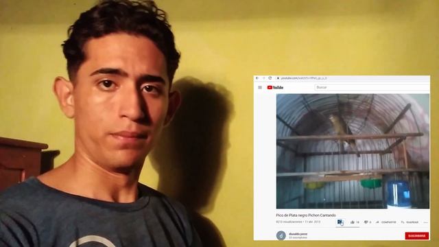 Pico de plata negro - CACHORRO CANTA FUERTEMENTE смотреть онлайн