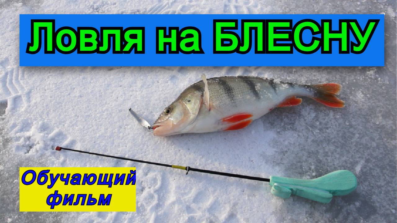 🔥🔥🔥Ловля на блесну Обучающий Фильм Зимняя рыбалка🔥🔥🔥 смотреть онлайн