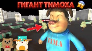 КАК МЫ ПОПАЛИ К ГИГАНТСКОМУ ТИМОХЕ? ТРЕШ ИГРЫ ПО ТИМОХЕ