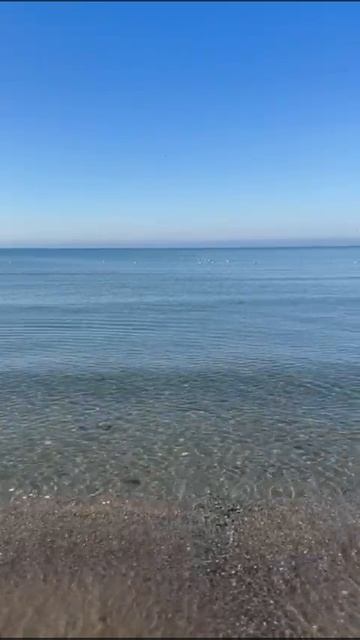 8.01.2025 Состояние пляжа 