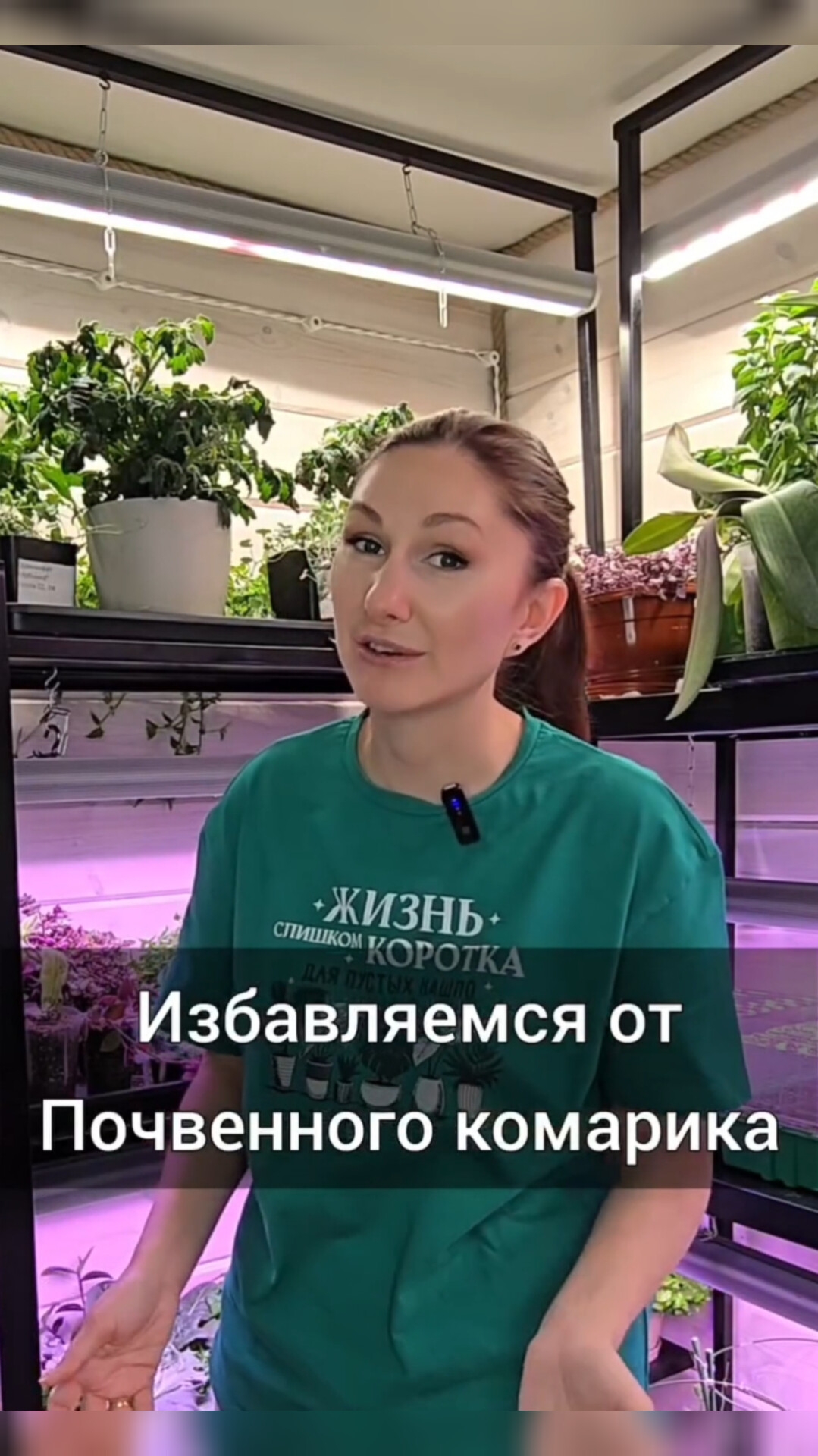 Избавляемся от почвенного комарика смотреть онлайн