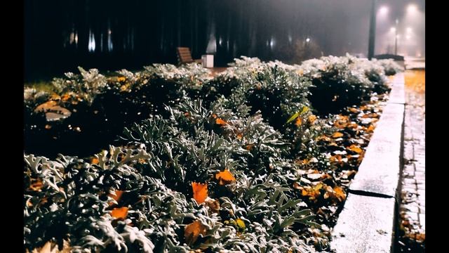 М Волошин  Старые письма #стихиописьмах #философскаялирика   #поэтыСеребряноговека