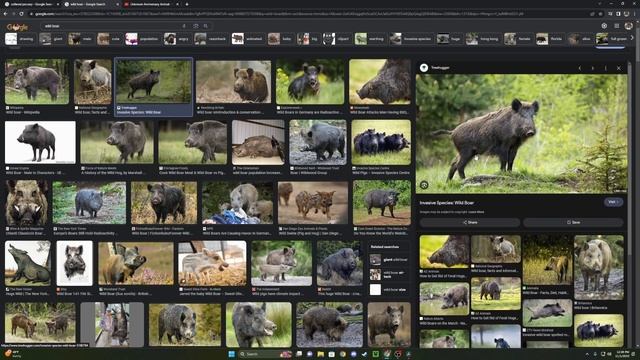 The Collared Peccary is Coming to Planet Zoo??? || Planet Zoo 4th Anniversary смотреть онлайн