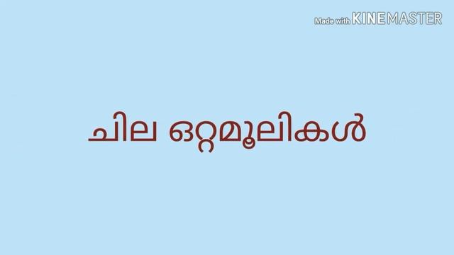 ജലദോഷ൦ മാറ്റാൻ ഒറ്റമൂലികൾ HOME REMEDIES FOR COLD malayalam смотреть онлайн