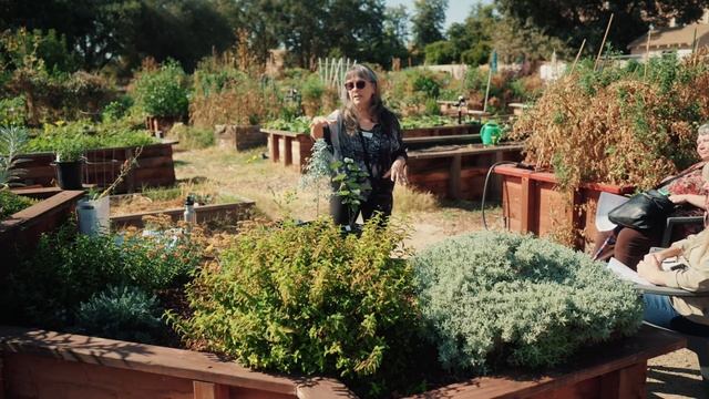 Fall for Native Plants: Incorporating the Region’s Flora into Your Garden смотреть онлайн