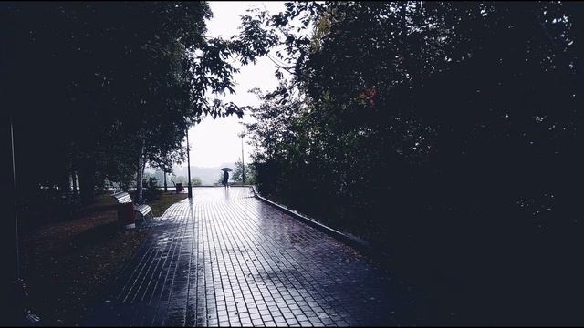 Мирра Лохвицкая  Есть что-то грустное #стихиогрусти #поэтысеребряноговека