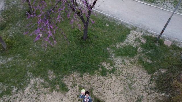 DJI Mavic Mini 2 Metropolitan Park "Antonis Tritsis" смотреть онлайн