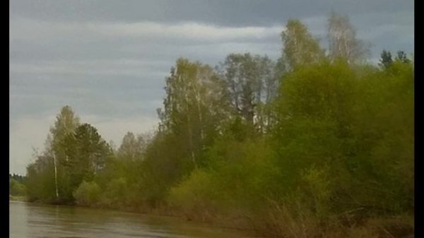 Н. Рыленков. К Родине. Всё в тающей дымке ... #стихиорусскойприроде#философскаялирика #поэты20века