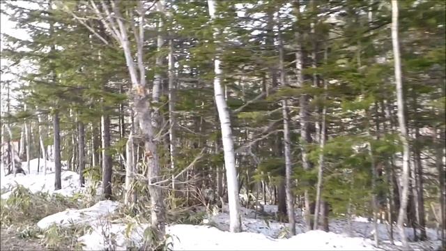 [Japan] Hokkaido - Biei: curry udon gratin, waterfalls, the mysterious blue pond & an active volcan смотреть онлайн