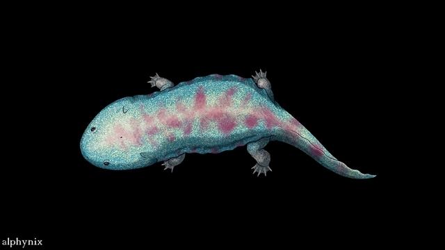 Koolasuchus - The Antarctic Amphibian That Ate Dinosaurs смотреть онлайн