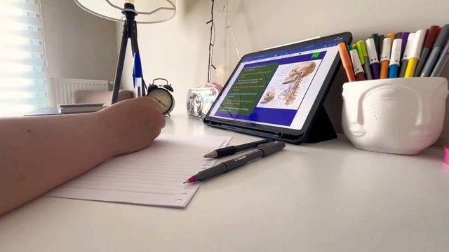Study with Mona | study with me | 35 minutes ASMR calm piano music 🎹 | смотреть онлайн