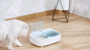 Petoneer Two Meals Wet & Dry Pet Feeder With Ice Packs