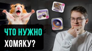 Как создать ПРАВИЛЬНЫЕ УСЛОВИЯ ДЛЯ ХОМЯКА? НЕ СОВЕРШАЙ ОШИБОК! Что нужно хомяку?