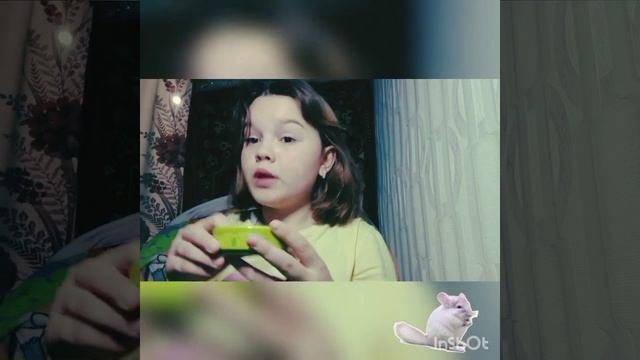 как ухаживать за шиншиллой корм, вкусняшки 👉🏻👈🏻😍❤️ смотреть онлайн