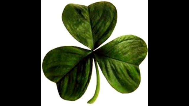 The Irish Coffee - Tell Me Ma смотреть онлайн