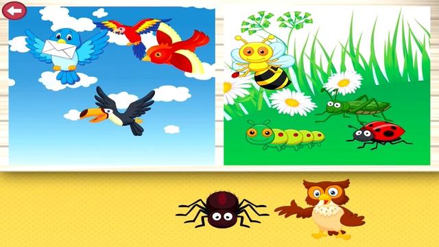 Learning Color, Animal And Shape Sorter for Children | Smart Baby 2 Sorter Game смотреть онлайн