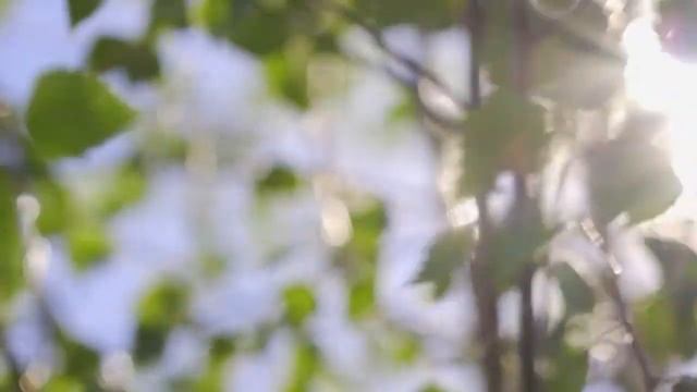 Аномальная жара до +38 градусов смотреть онлайн