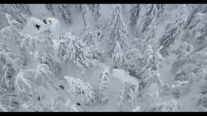 А Ахматова  Тебе покорной Ты сошёл с ума #стихиоженщине #поэты20века #поэтыCеребряноговека